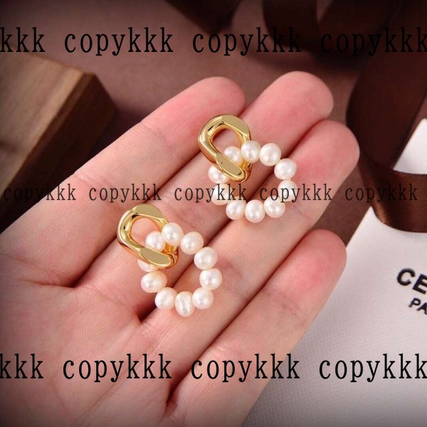 大人気 セリーヌ アクセサリー ブランドコピー - accessories-01021 メイン画像