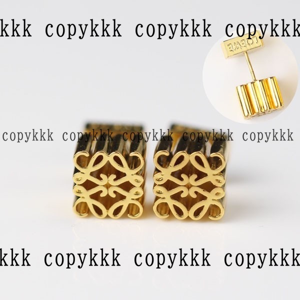 ロエベ アクセサリー ブランドコピー 激安通販 - accessories-01649 おすすめN級品