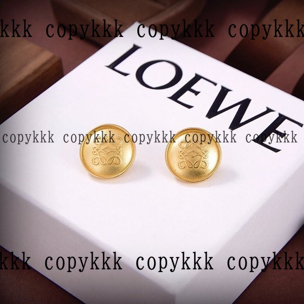 ロエベ アクセサリー ブランドコピー 激安通販 - accessories-01656 おすすめN級品