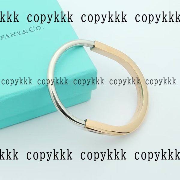 人気 ティファニー ブレスレット N級品 - accessories-01168