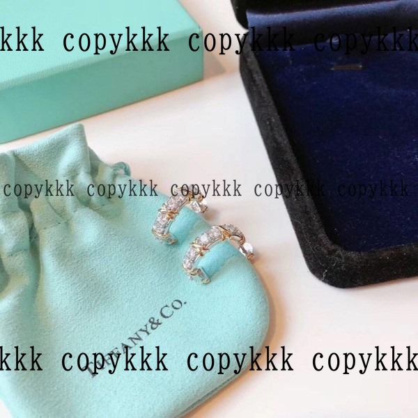 大人気 ティファニー イヤリング ブランドコピー - accessories-01101 画像 6