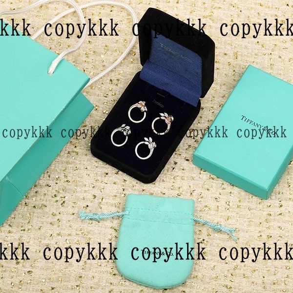 人気 ティファニー イヤリング N級品 - accessories-01109 画像 2