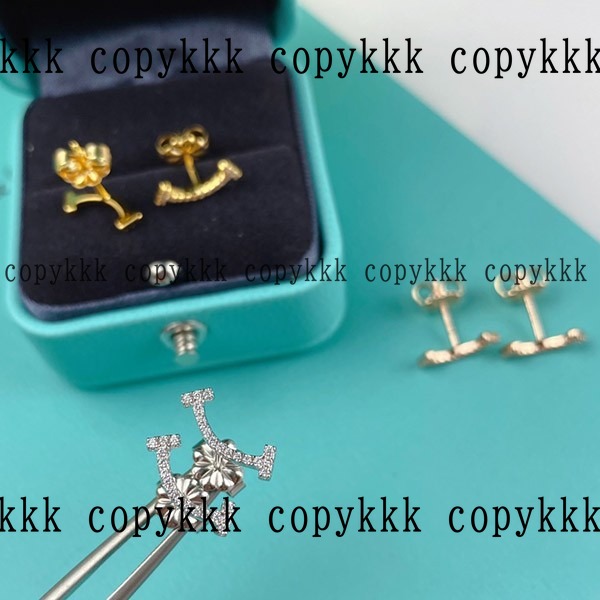 人気 ティファニー イヤリング N級品 - accessories-01110 おすすめN級品