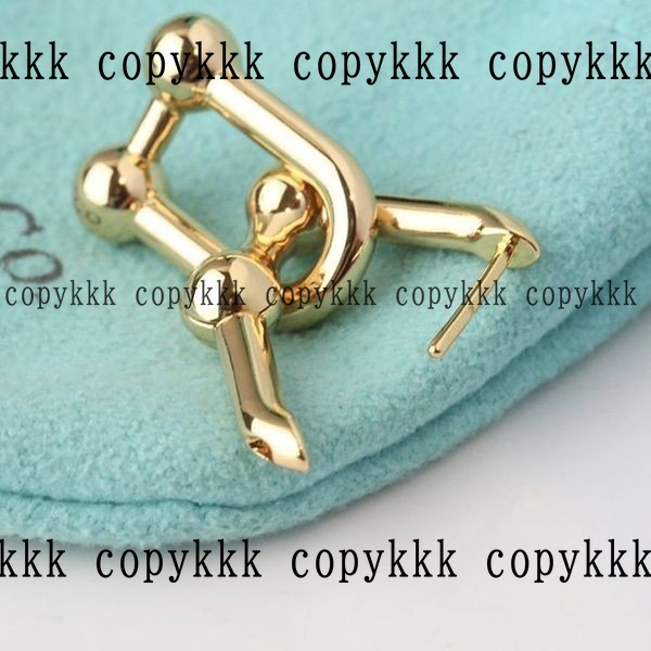 人気 ティファニー イヤリング N級品 - accessories-01121 画像 5