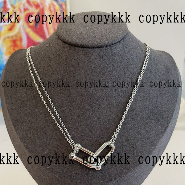 人気 ティファニー ネックレス N級品 - accessories-01223 画像 2
