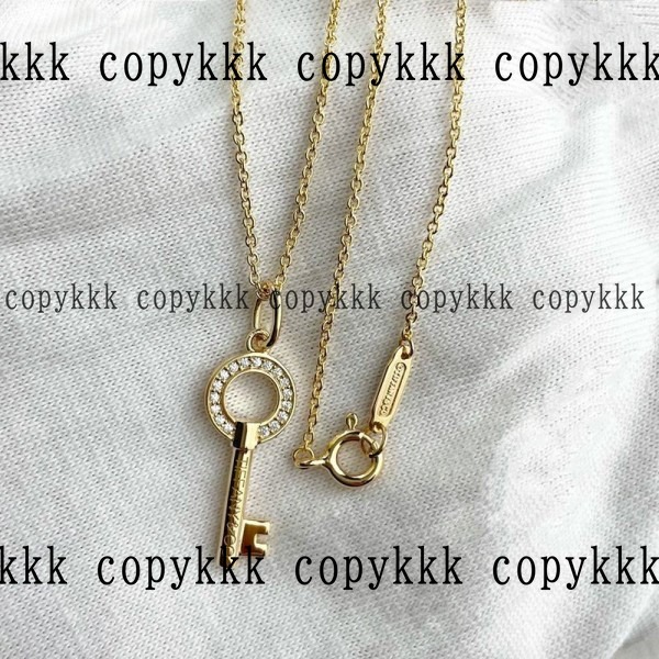 大人気 ティファニー ネックレス ブランドコピー - accessories-01229 メイン画像