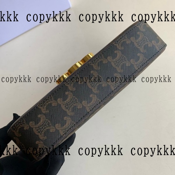 大人気 セリーヌ ショルダーバッグ コピー - bags-03263 画像 6