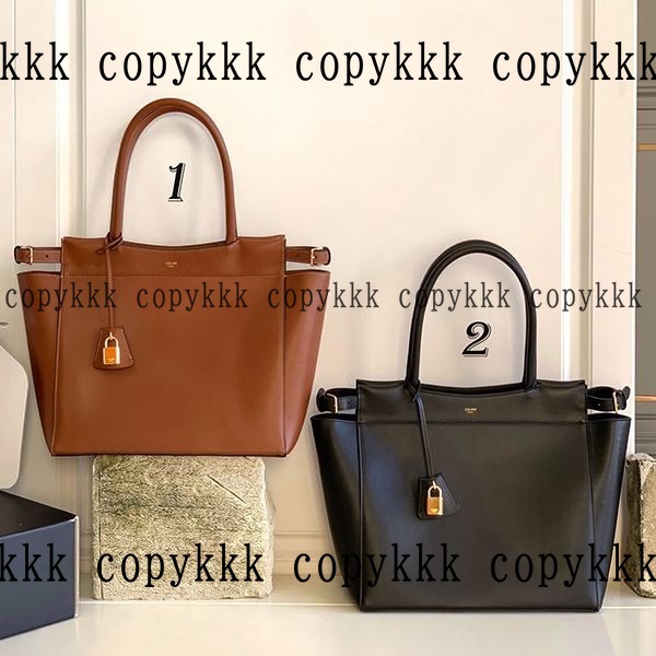 人気 セリーヌ ハンドバッグ N級品 - bags-02996 おすすめN級品