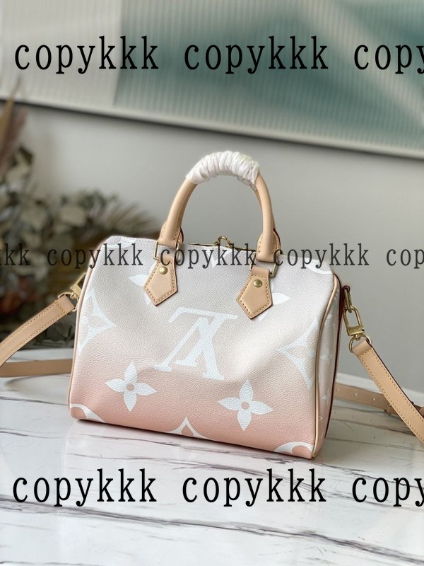 大人気 ルイ・ヴィトン ハンドバッグ コピー - bags-02164 画像 2