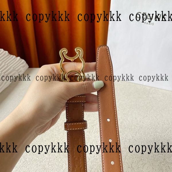 大人気 セリーヌ ベルト ブランドコピー - belts-00351 画像 3