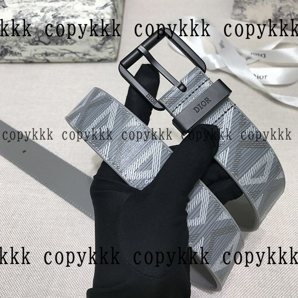 ディオール ベルト ブランドコピー 激安通販 - belts-00387 おすすめN級品