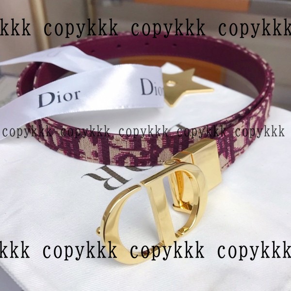 大人気 ディオール ベルト ブランドコピー - belts-00445 画像 2