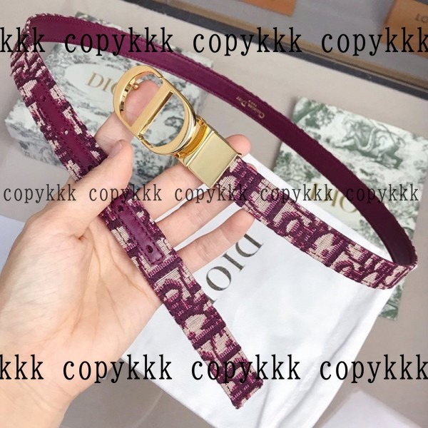 大人気 ディオール ベルト ブランドコピー - belts-00445 画像 8