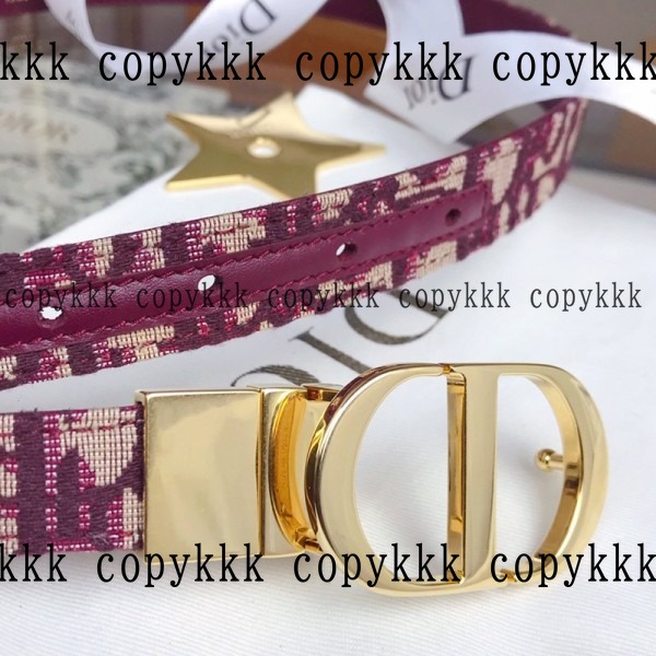 大人気 ディオール ベルト ブランドコピー - belts-00445 画像 9