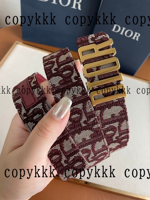 大人気 ディオール ベルト ブランドコピー - belts-00465 おすすめN級品