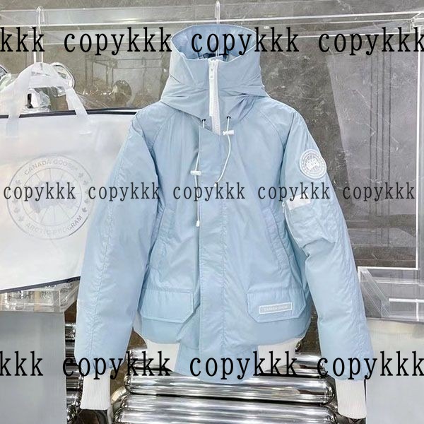 人気 カナダグース ダウンジャケット N級品 - clothing-00099 おすすめN級品