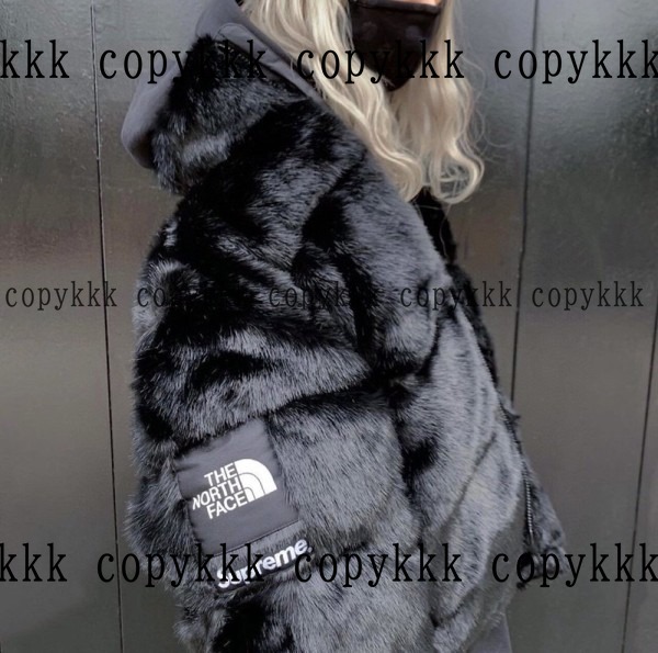 人気 ザ・ノース・フェイス ジャケット N級品 - clothing-01486 画像 2
