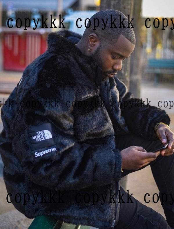 人気 ザ・ノース・フェイス ジャケット N級品 - clothing-01486 画像 5