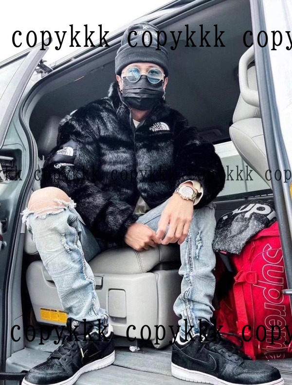 人気 ザ・ノース・フェイス ジャケット N級品 - clothing-01486 画像 9