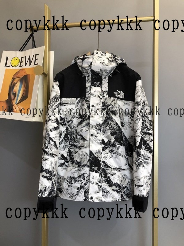 人気 ザ・ノース・フェイス ジャケット N級品 - clothing-01550
