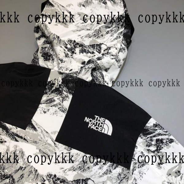 人気 ザ・ノース・フェイス ジャケット N級品 - clothing-01550 画像 8