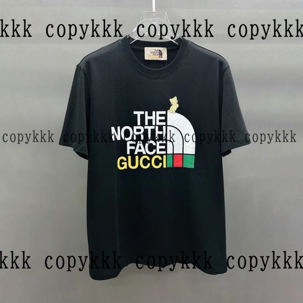 人気 ザ・ノース・フェイス 半袖 N級品 - clothing-01450