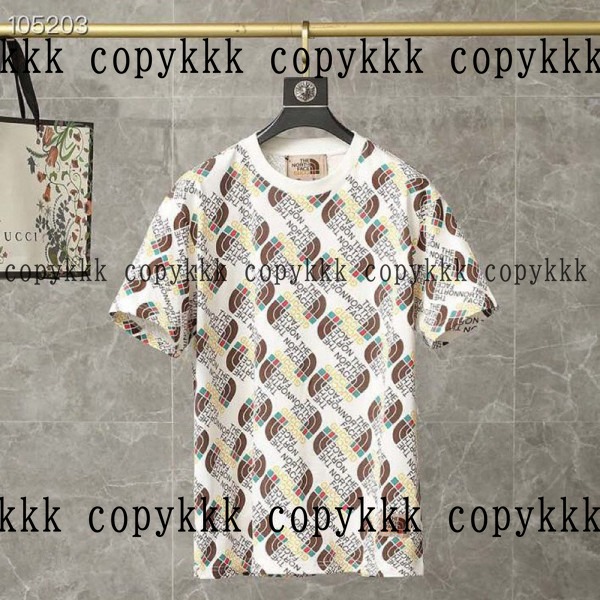 人気 ザ・ノース・フェイス 半袖 N級品 - clothing-01469
