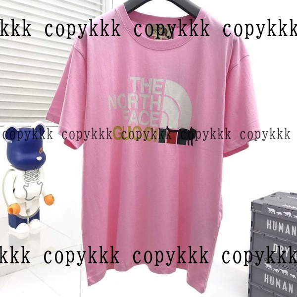 人気 ザ・ノース・フェイス 半袖 N級品 - clothing-01472