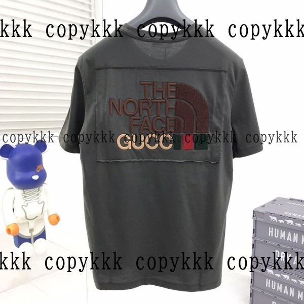 ザ・ノース・フェイス 半袖 N級品 送料無料 - clothing-01473 おすすめN級品