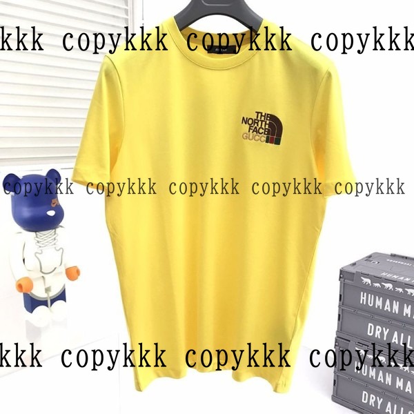 ザ・ノース・フェイス 半袖 N級品 送料無料 - clothing-01475 メイン画像