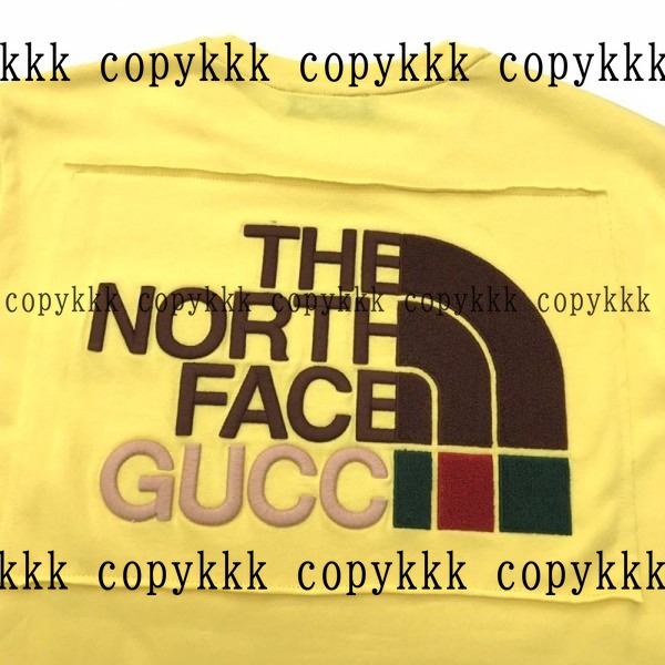 ザ・ノース・フェイス 半袖 N級品 送料無料 - clothing-01475 画像 4