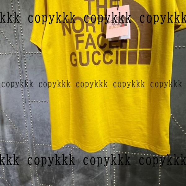 人気 ザ・ノース・フェイス 半袖 N級品 - clothing-01478 画像 5