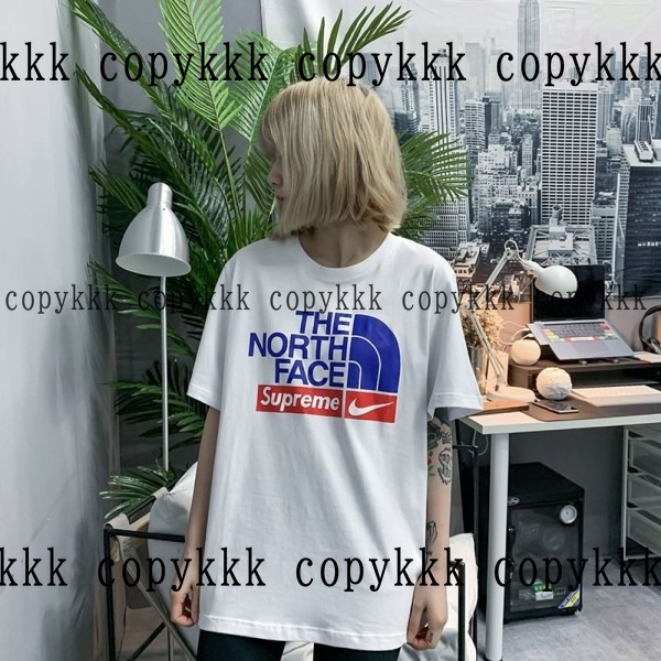 ザ・ノース・フェイス 半袖 コピー 激安通販 - clothing-01457 おすすめN級品