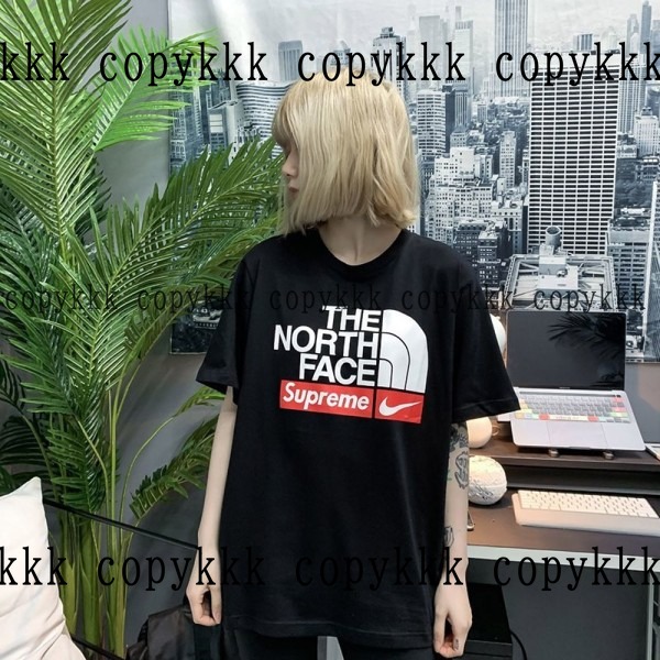ザ・ノース・フェイス 半袖 コピー 激安通販 - clothing-01457 画像 6