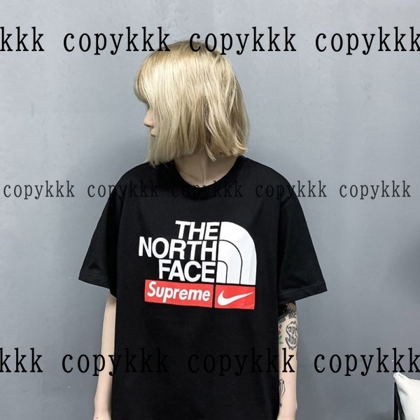 ザ・ノース・フェイス 半袖 コピー 激安通販 - clothing-01457 画像 7