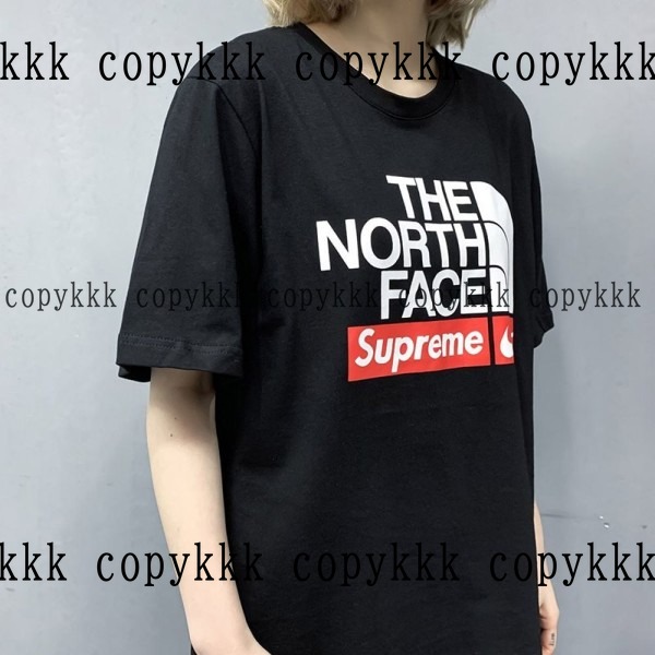 ザ・ノース・フェイス 半袖 コピー 激安通販 - clothing-01457 画像 8