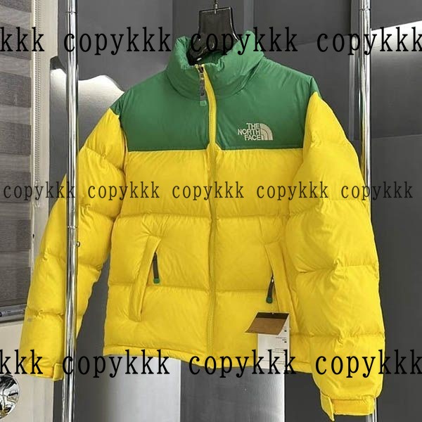 人気 ザ・ノース・フェイス ダウンジャケット N級品 - clothing-01366 画像 3