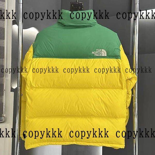 人気 ザ・ノース・フェイス ダウンジャケット N級品 - clothing-01366 画像 4