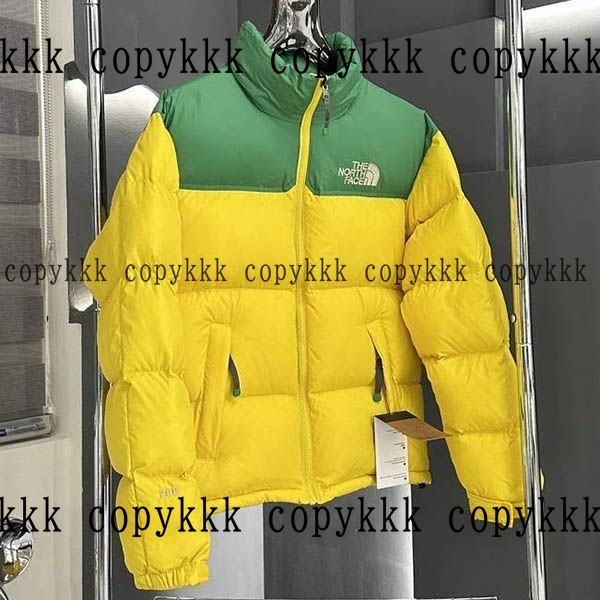 人気 ザ・ノース・フェイス ダウンジャケット N級品 - clothing-01366 画像 6
