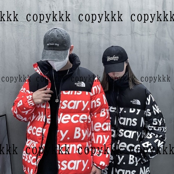 大人気 ザ・ノース・フェイス ダウンジャケット コピー - clothing-01371