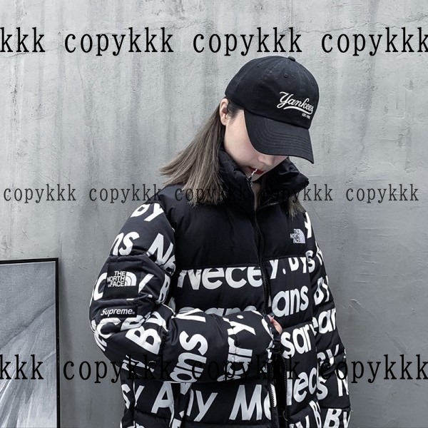 大人気 ザ・ノース・フェイス ダウンジャケット コピー - clothing-01371 画像 4