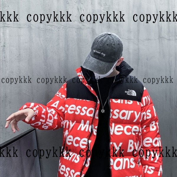 大人気 ザ・ノース・フェイス ダウンジャケット コピー - clothing-01371 画像 7