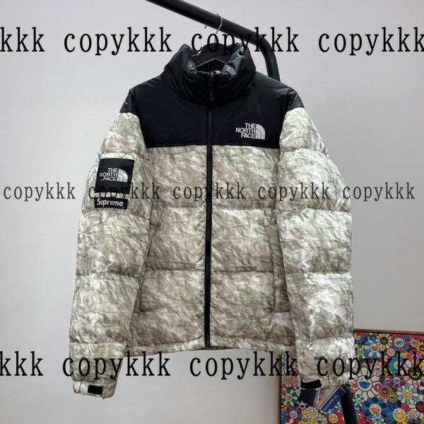 大人気 ザ・ノース・フェイス ダウンジャケット コピー - clothing-01346 おすすめN級品