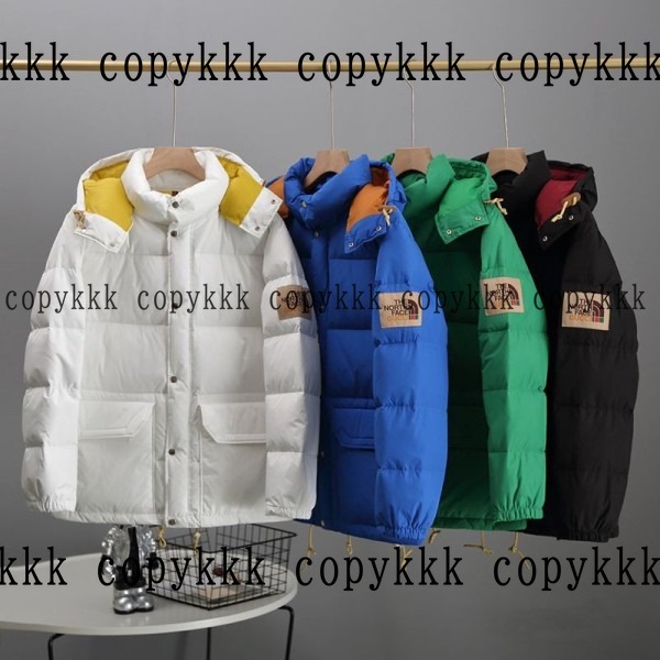 格安 ザ・ノース・フェイス ダウンジャケット スーパーコピー - clothing-01373 おすすめN級品