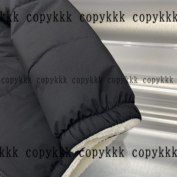 人気 ザ・ノース・フェイス ダウンジャケット N級品 - clothing-01377 画像 5