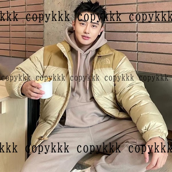 人気 ザ・ノース・フェイス ダウンジャケット N級品 - clothing-01386