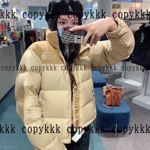 人気 ザ・ノース・フェイス ダウンジャケット N級品 - clothing-01386 画像 3
