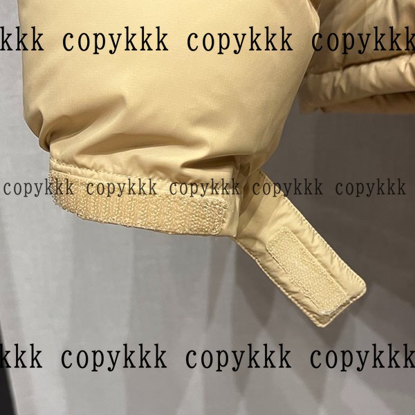 人気 ザ・ノース・フェイス ダウンジャケット N級品 - clothing-01386 画像 9