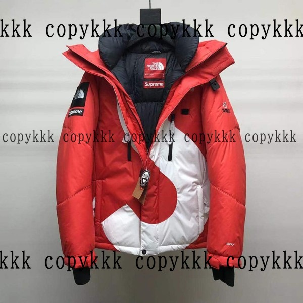 大人気 ザ・ノース・フェイス ダウンジャケット コピー - clothing-01391