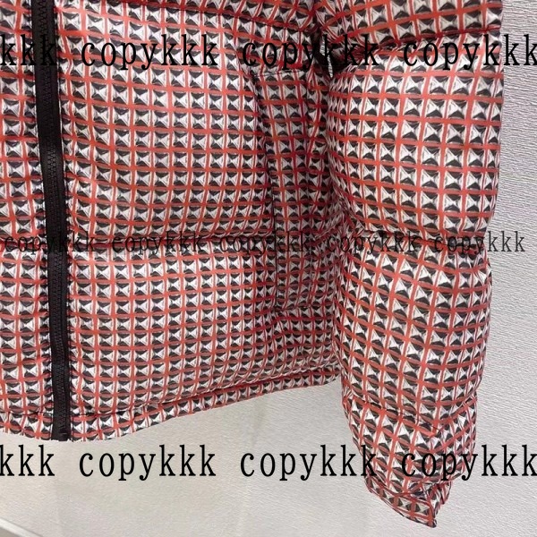 人気 ザ・ノース・フェイス ダウンジャケット N級品 - clothing-01348 画像 6